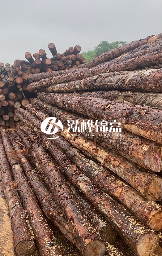 購買松木樁注意事項(xiàng)有哪些-不同直徑松木樁區(qū)別有哪些？
