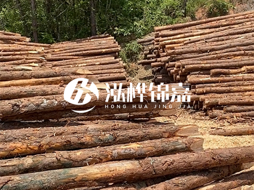 松木樁的運(yùn)輸費(fèi)用是否包含卸車費(fèi)？卸貨時需要注意哪些安全問題？
