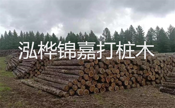 選擇紅磚護(hù)坡，打造獨(dú)特的美麗景觀
