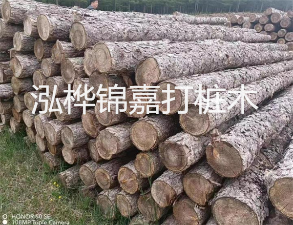 高效修補(bǔ)，保駕護(hù)航！水泥路面高強(qiáng)度修補(bǔ)料為您解決煩惱！