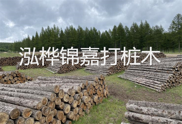 預(yù)制松木樁施工工藝：優(yōu)質(zhì)材料，高效快速，堅(jiān)固耐用