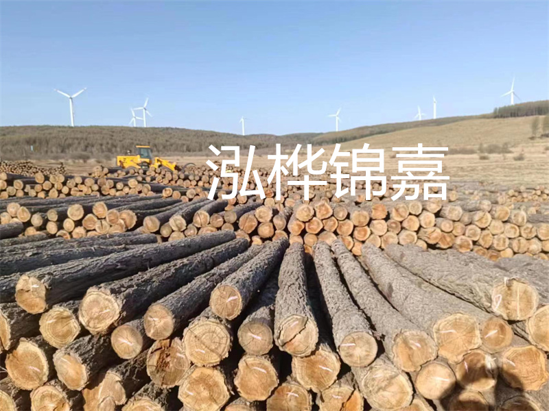 溫州松木樁施工廠家——為您打造堅(jiān)固穩(wěn)定的建筑基礎(chǔ)！