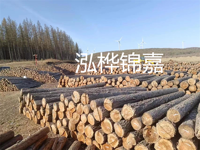 用路基松木樁施工方案提升工程質(zhì)量描述：了解路基松木樁施工方案的重要性，提高工程質(zhì)量關(guān)鍵詞：路基松木樁，施工方案，工程質(zhì)量